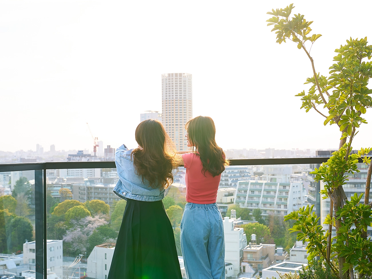 頂層（禁煙）/露台