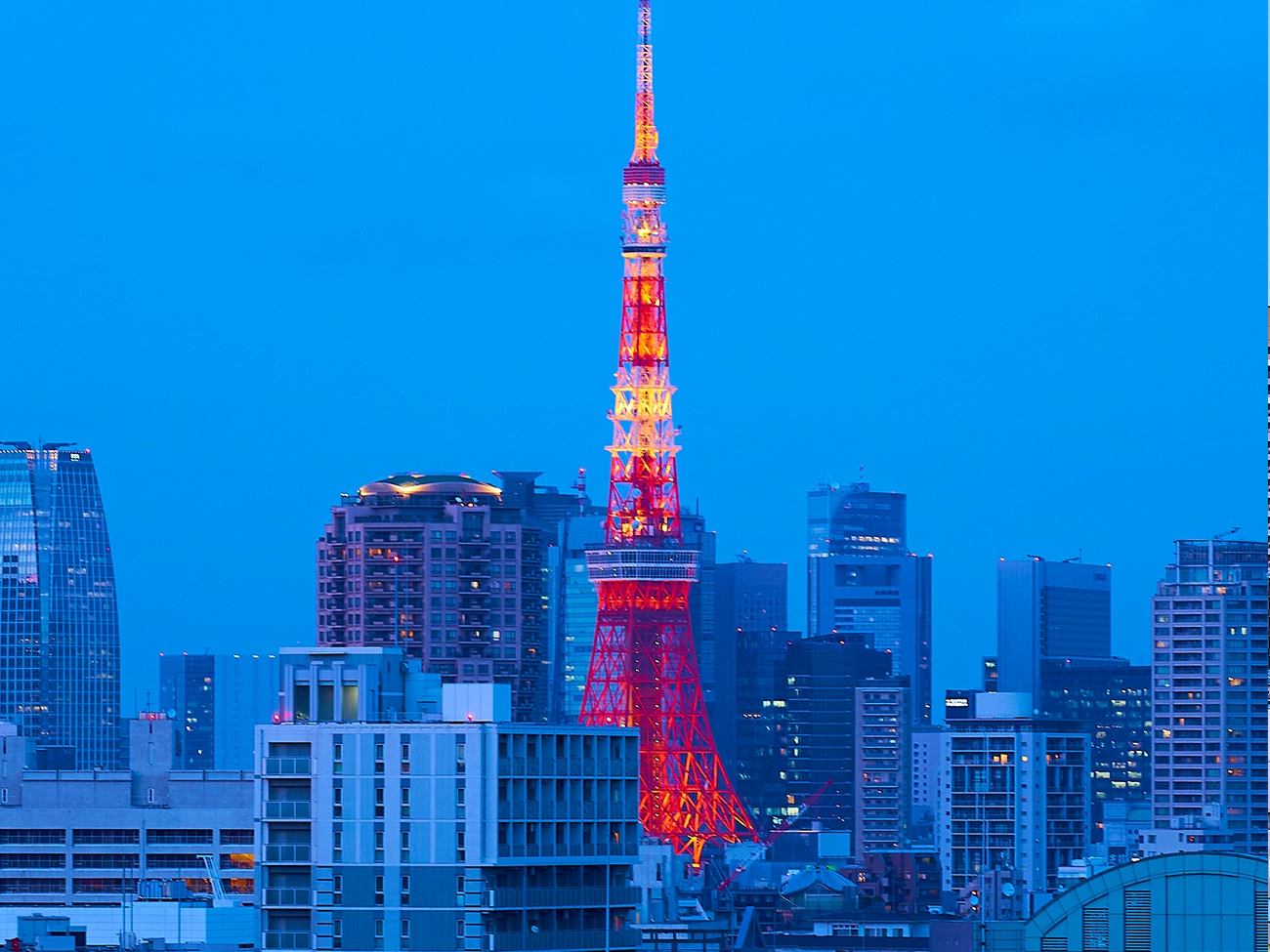 東京鐵塔景觀/ TOKYO TOWER