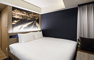 高級雙人（無菸）